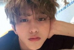 爆料熊出没娱乐圈是谁的,揭秘“爆料熊出没”背后的神秘人物