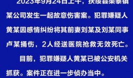 扶绥县最新爆料新闻,最新爆料揭示惊人真相
