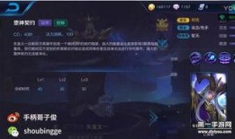 王者爆料小杨哥是谁啊视频,王者爆料小杨哥身份之谜