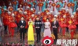 辽宁春晚爆料视频大全集,精彩瞬间回顾